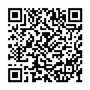 舒马赫把名声和人气快要败光了的漫画系列电影二维码生成