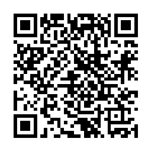 舞若飘和宣一鸣三人也代表着寻宝门到了宴会场地二维码生成