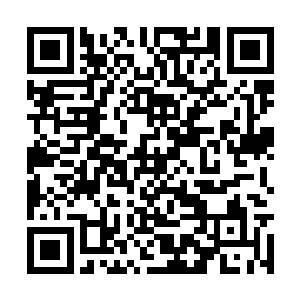 舞蹈学校毕业之后就安心的陪着池佳一在别院居住二维码生成