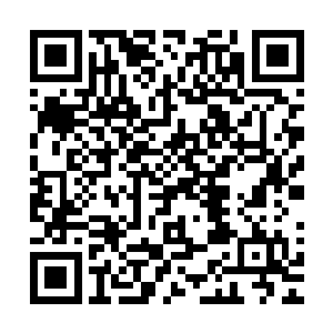 航空公司总经理对又给自己的机队添了架喷气机感到非常荣幸二维码生成