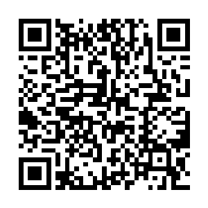 航维投资的方林根和嵩光基金的戴鑫甲走进了办公室二维码生成
