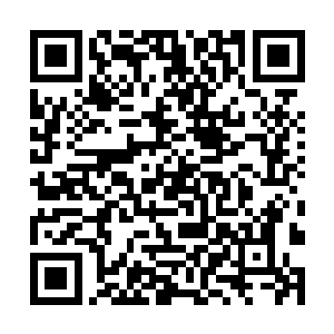 航行轨迹和浮游炮台仿佛组成了一套特殊的生态系统二维码生成