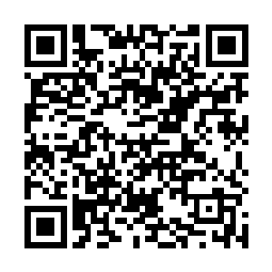 舰队的身形越来越清晰的显现在洪武城百姓的视野当中二维码生成