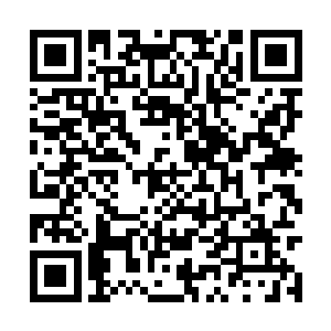 船的再次出现本就只是全世界华人一个美好的期待二维码生成