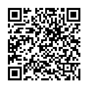 色彩运用和情感冲突以及其他几个环节的处理上面二维码生成