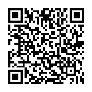 艾丽娅姐妹和小荒的攻击竟然一点作用都没有了二维码生成