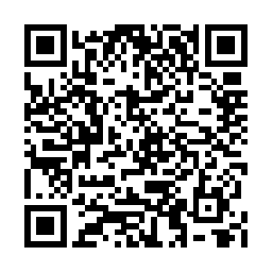 艾妖将另外一面崖壁上的文字记录到了星蟒录中二维码生成