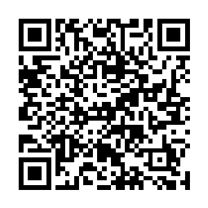 艾欧尼亚都不知道有多少人打上王者七天以后又掉下来二维码生成