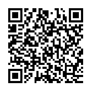 艾欧莉亚又亲自带领众人前往专门为前者等人准备好的房间住处二维码生成