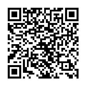 艾欧莉亚和谢文东一行人坐上了兰黛家族安排好的专车二维码生成