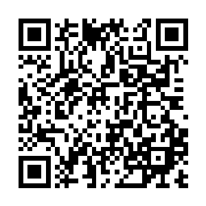 艾维克却是站在了南海岸所有巫师顶点的三级巫师二维码生成