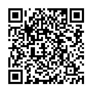 艾莉娜想起刚才阿努夫里和弗拉基米尔对夏先生的冒犯二维码生成