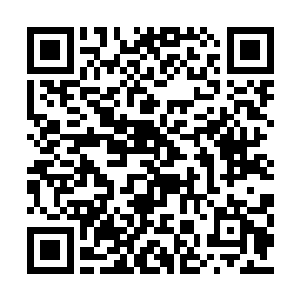 艾莉娜拥有的自然不仅仅只是美貌和惊人的身手二维码生成