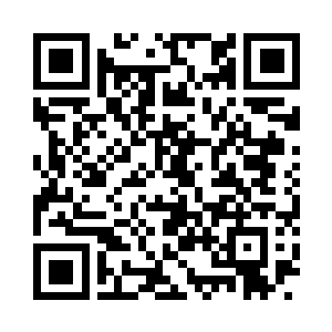 艾莎再次指着一个已经打开盖的大箱子说道二维码生成