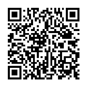 节奏也需要改变……雨果正在脑海里慢慢地思考斟酌着二维码生成