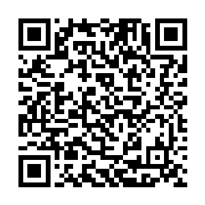 节目组提供了各种有利因素去降低夜之火的写作难度二维码生成