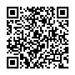 节目组这次直接在大屏幕上打出了投票时间的倒计时二维码生成