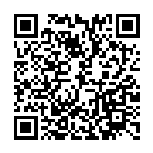 芊芊和小奴在小声的说着无尽深海内的奇观趣事二维码生成