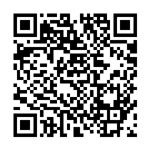 芝安市这么多电视机前正在观看这次特别采访新闻的市民们二维码生成