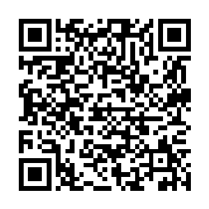 芥末从落水管的一侧找到了从楼顶放下来的尼龙绳二维码生成