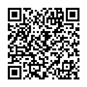 芮阁不疾不徐地从衣柜里拿出一件蓝色条纹衬衫二维码生成