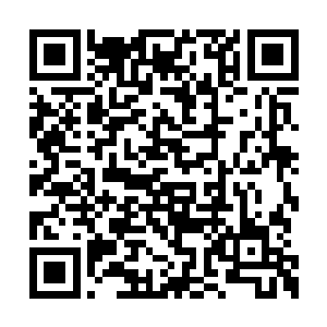 芮阁目光坚定地望着车窗外消失于地平线的夕阳二维码生成