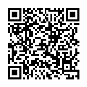 芮阁说着询问似的眼神朝坐在他身边的朝迪娜看了一眼二维码生成