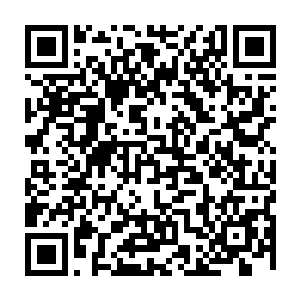 花久久也是看呆了――她用理智告诉自己这个妖孽一般的人是表里不一的二维码生成