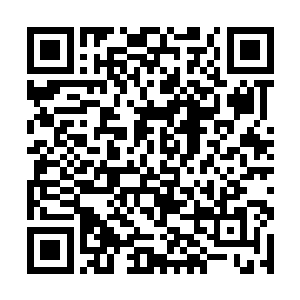 花久久只是不解的往身后看了一眼就再也没什么动作二维码生成