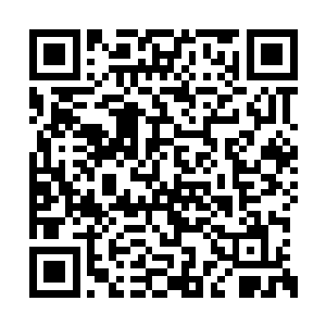 花久久震惊――不知何时帝寒手里多了一张手帕二维码生成