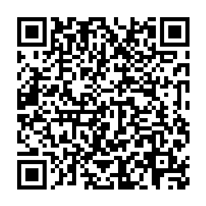 花了一个上午的工夫能让这么多种子全部扎根发芽已经是超常发挥二维码生成