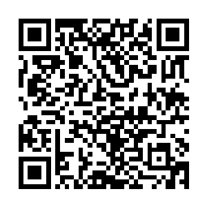 花了半个小时将武术节录制下来的整套视频进行剪辑二维码生成