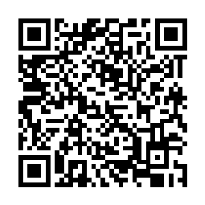 花仙子等六个人吃亏就吃亏在他们在此地释放不出仙诀二维码生成