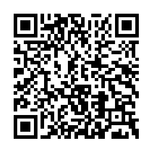 花允楼就发现他的藤剑根本挡不住我的一念一剑二维码生成