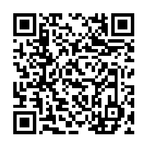 花再多钱也值得――这钱还是他空手套白狼弄来的二维码生成