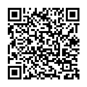 花几万块钱在海口南海大道高宇门业做一扇大门二维码生成