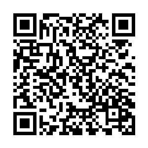 花团锦簇呈现圆润水滴形的妖花旁仔细感应一下说道二维码生成