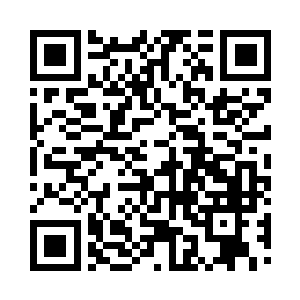 花坛两边横放着两人合抱粗的光滑巨木二维码生成