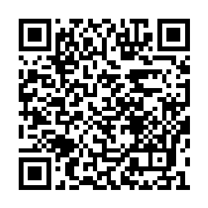 花如梦似乎也是完全没有想到事情会变成这样的二维码生成