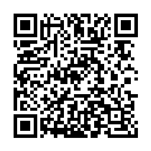 花幼兰和高晋的机缘甚至通达如段子君这些关系二维码生成