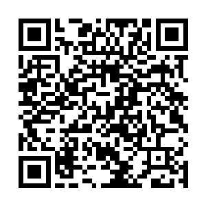 花悠悠就把她怎么捉弄张小凡的事情都一一的说了出来二维码生成
