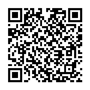 花无冷最后看了一眼那个他恨不得吞进肚子里的小人儿二维码生成