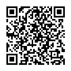 花无轩的衬衫穿在她的身上就像穿着一件大大的裙子二维码生成