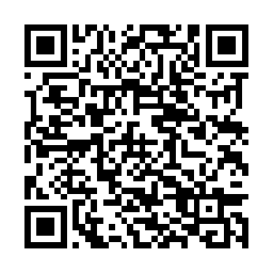 花无轩这人比起花家另外两个男人确实要温和一些二维码生成