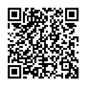 花样不断的给所有人淋漓尽致的表演了一系列的美国梦现实版二维码生成