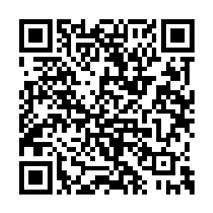 花毛贝带来的是身体防御和承受攻击能力的增强二维码生成