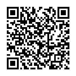 花蕊的提议中非夜唯一痛快答应的就是去凌菲那里二维码生成