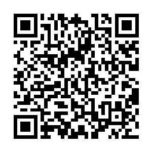 花费了一上午的时间才偷偷摸摸穿过不停有零星枪声的战区二维码生成