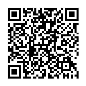 花费了几个小时把消耗一空的真元重新恢复个七七八八之后二维码生成