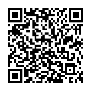 花雨露也没问过另外两人找来的帮手到底都是谁二维码生成